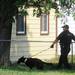 A Washtenaw County Sheriff K-9 unit surveys an area on Woodlawn on Wednesday, August 21, 2013. Melanie Maxwell | AnnArbor.com